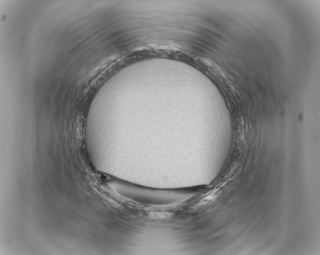 X0000087741110200706041030