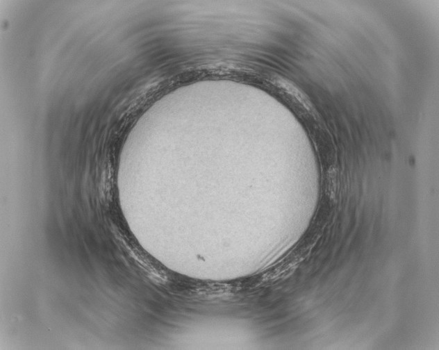 X0000087741111200706041030