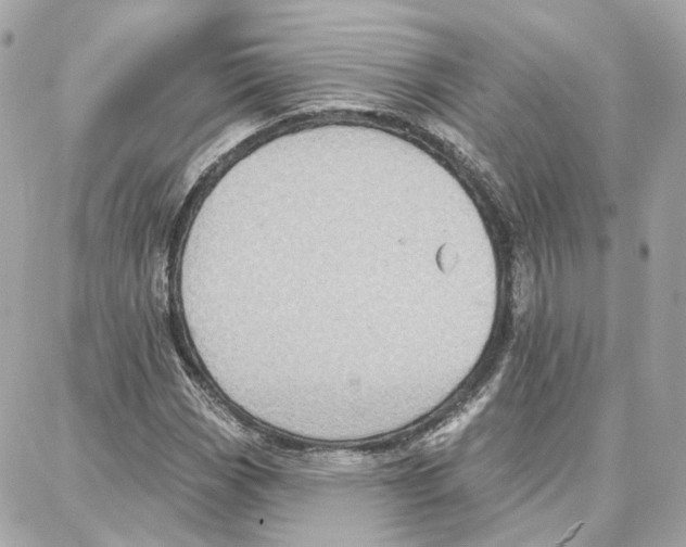 X0000087741113200706041030