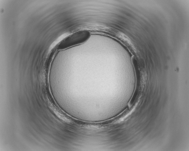 X0000087741114200706041030