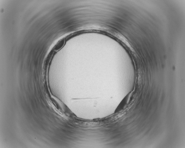 X0000087741116200706041030