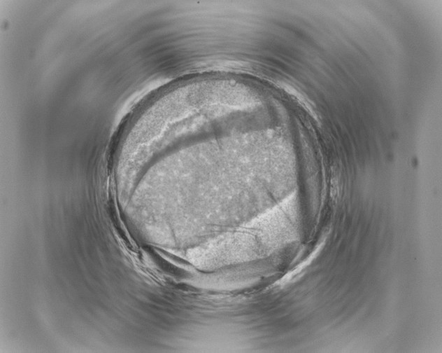 X0000087741117200706041030