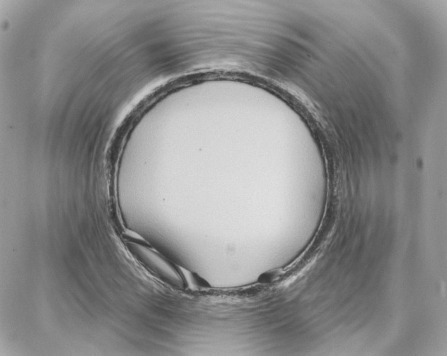 X0000087741118200706041030