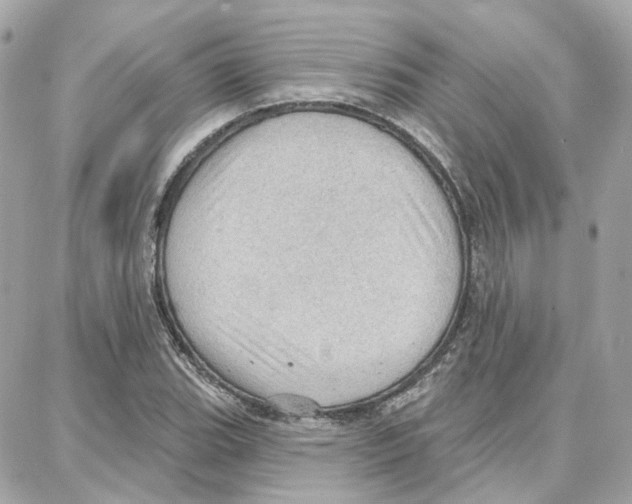 X0000087741119200706041030