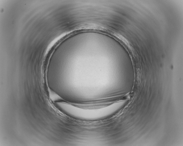 X0000087741120200706041030