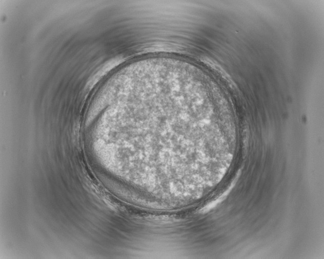 X0000087741121200706041030