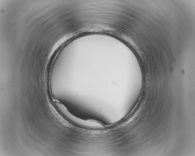 X0000087741122200706041030