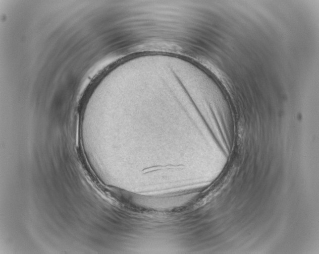 X0000087741123200706041030