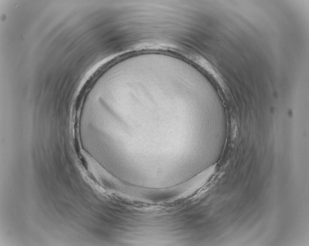 X0000087741124200706041030