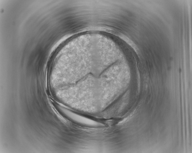 X0000087741127200706041030