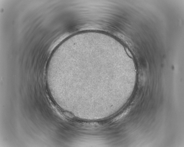 X0000087741129200706041030