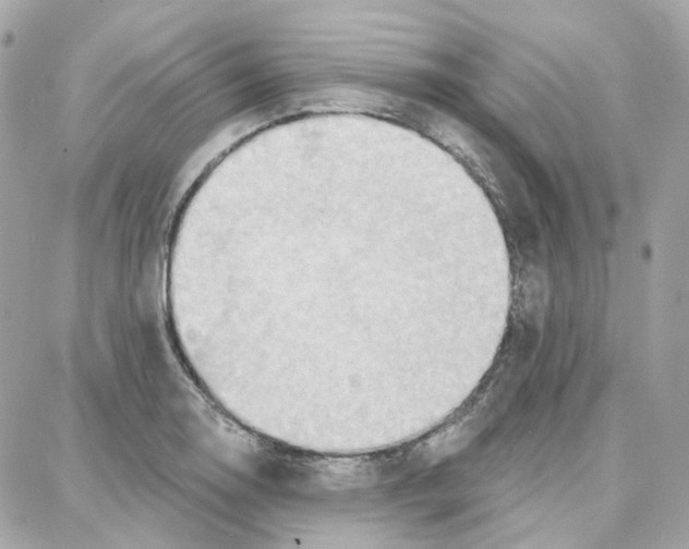 X0000087741130200706041030