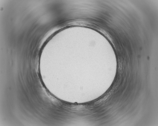 X0000087741131200706041030