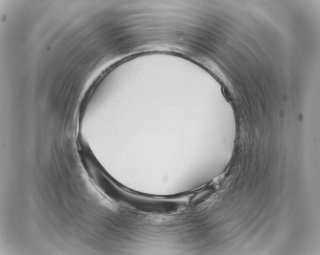 X0000087741132200706041030