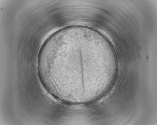 X0000087741133200706041030