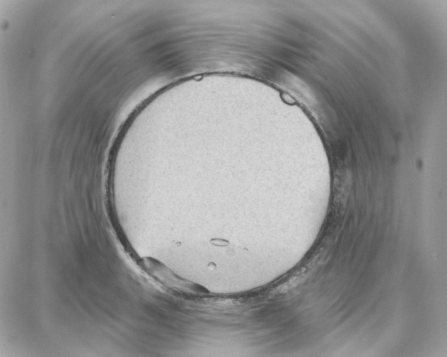 X0000087741135200706041030