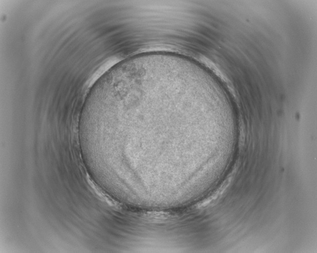 X0000087741137200706041030