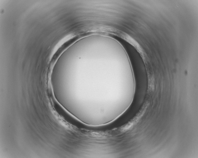 X0000087741138200706041030