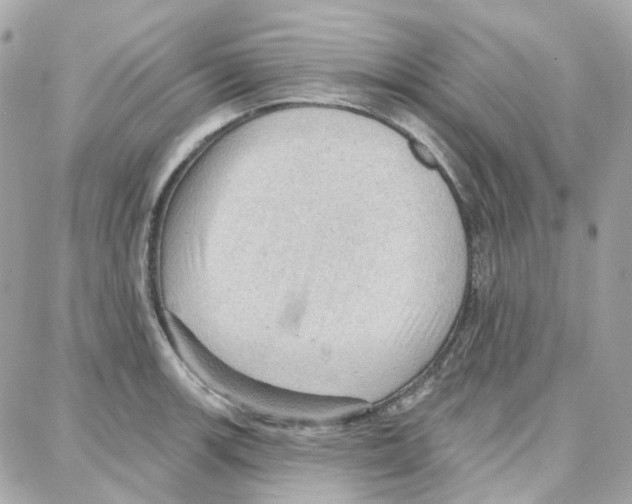 X0000087741139200706041030