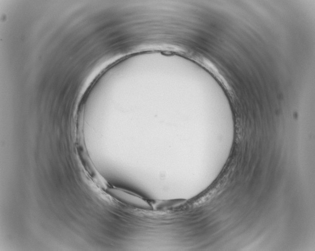 X0000087741140200706041030