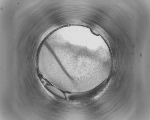 X0000087741141200706041030