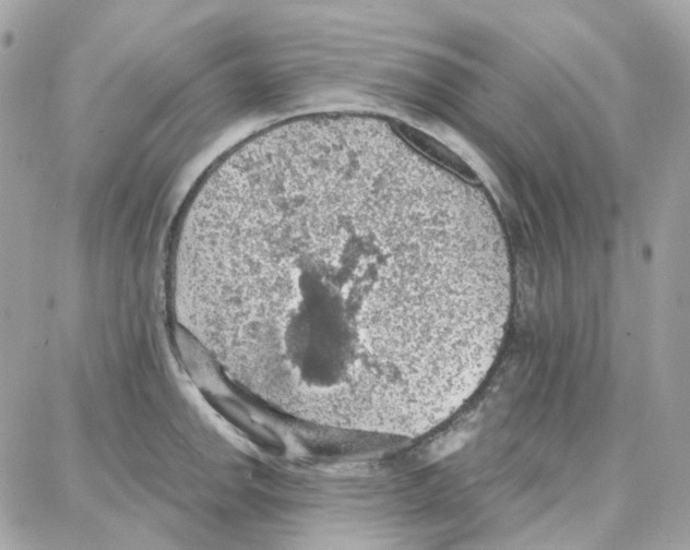 X0000087741142200706041030