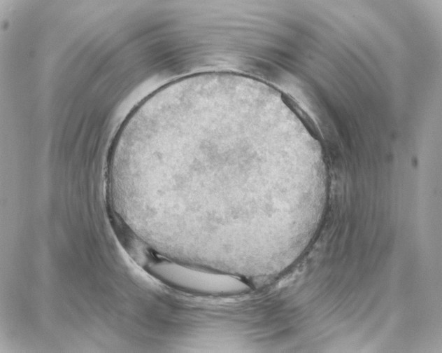 X0000087741143200706041030