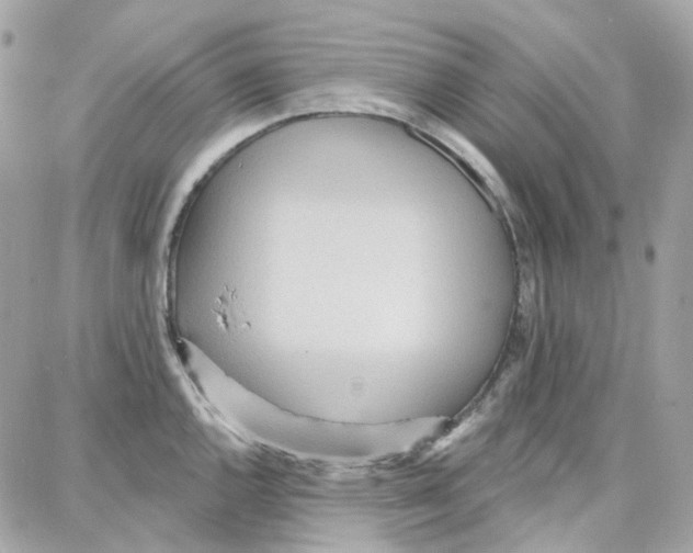 X0000087741144200706041030