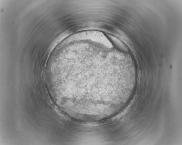 X0000087741145200706041030