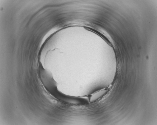 X0000087741146200706041030