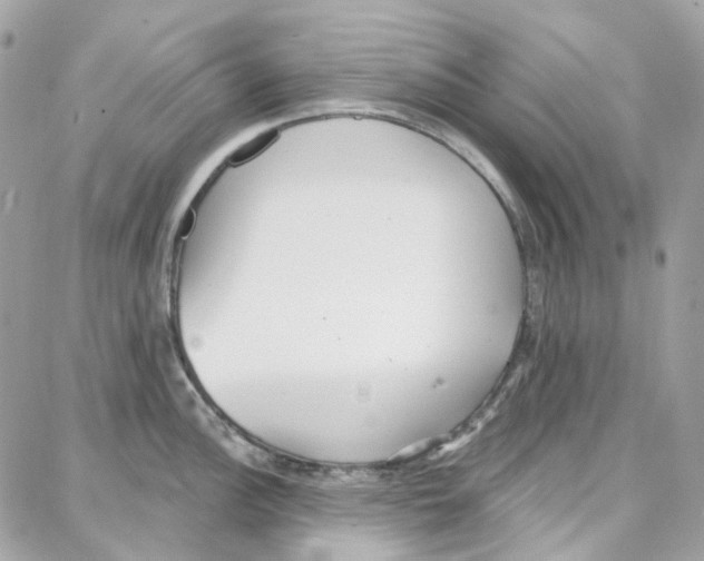 X0000087741148200706041030