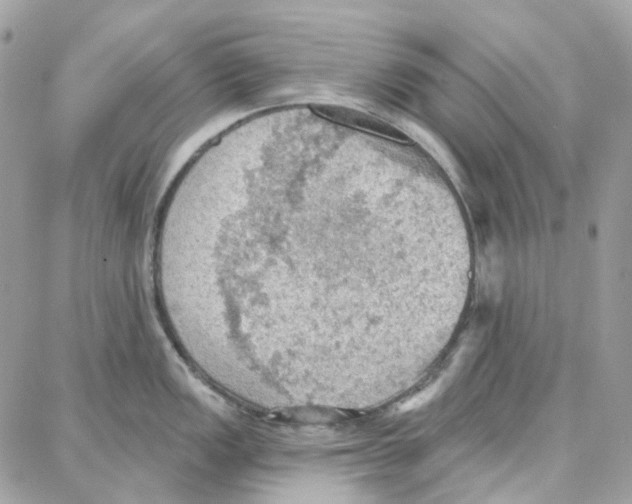 X0000087741149200706041030