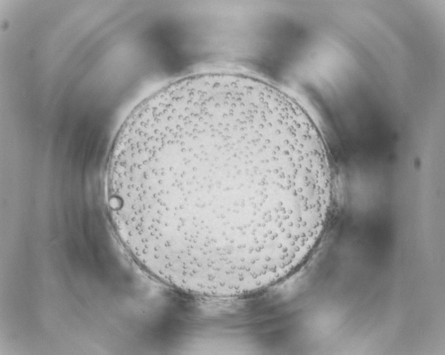 X0000087741150200706041030