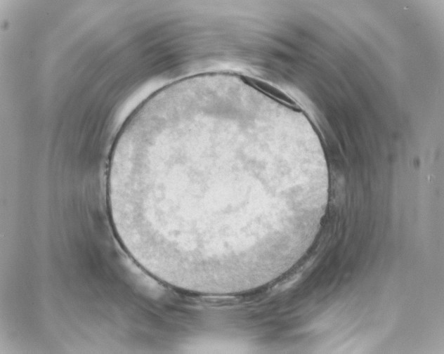 X0000087741151200706041030