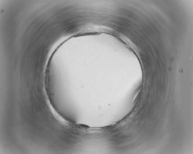 X0000087741152200706041030