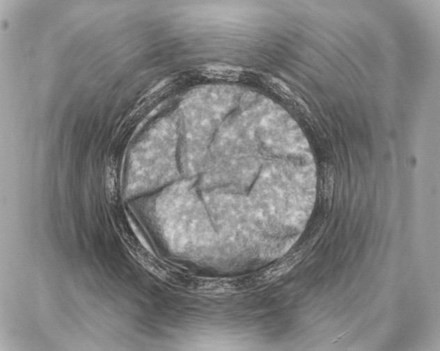 X0000087741154200706041030