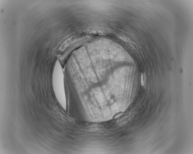 X0000087741155200706041029