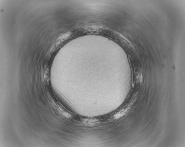 X0000087741156200706041029