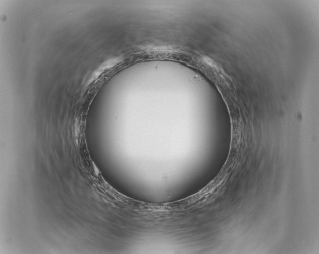 X0000087741157200706041029