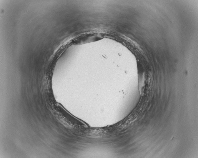 X0000087741160200706041029