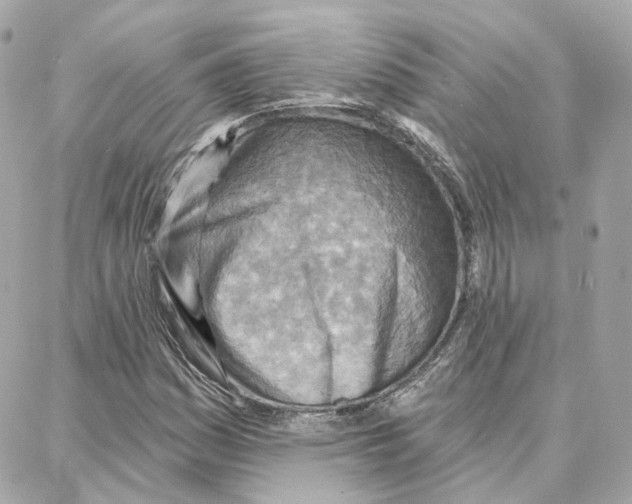 X0000087741161200706041029