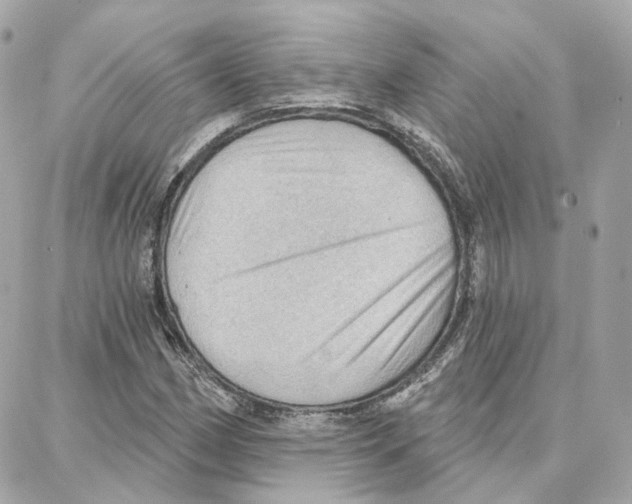 X0000087741162200706041029