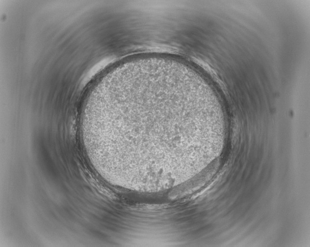 X0000087741163200706041029