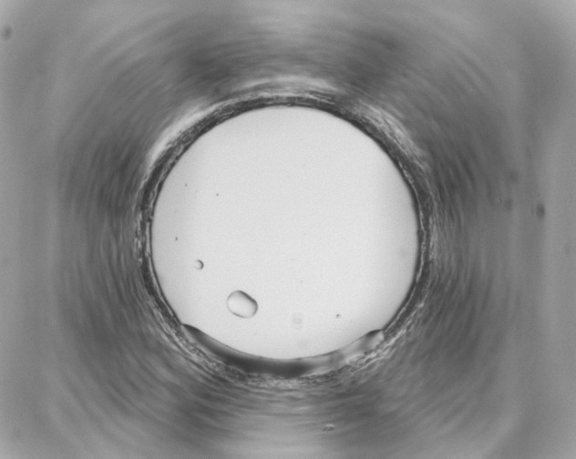 X0000087741164200706041029