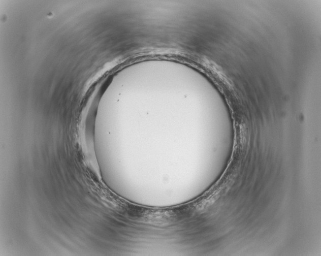 X0000087741165200706041029