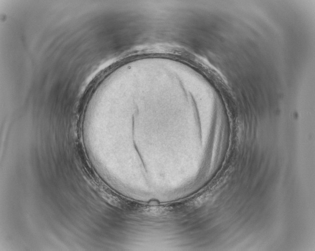 X0000087741166200706041029