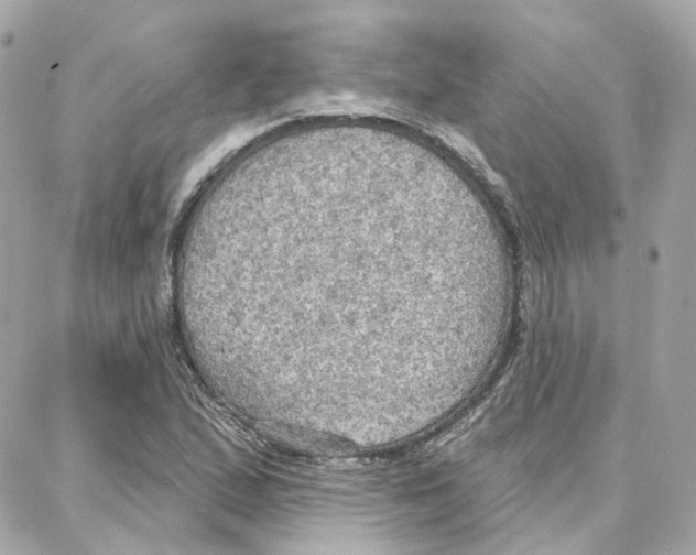 X0000087741167200706041029