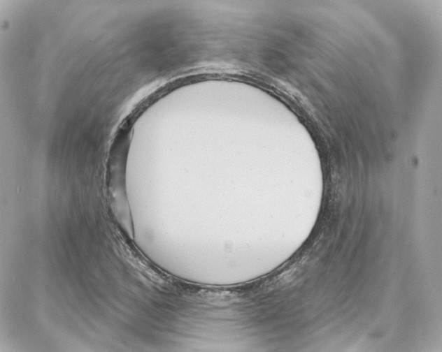 X0000087741168200706041029