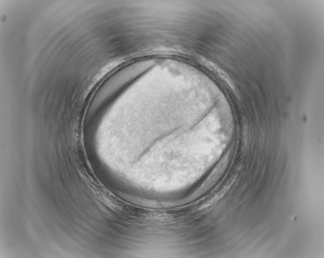 X0000087741170200706041029