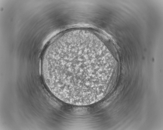 X0000087741171200706041029